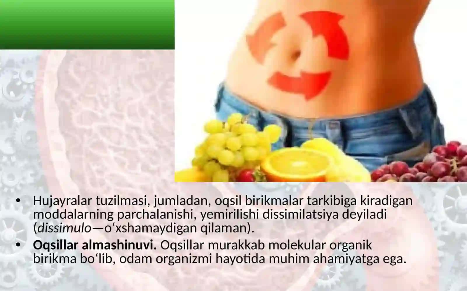 "Moddalar va energiya almashinuvi haqida umumiy tushuncha" 4