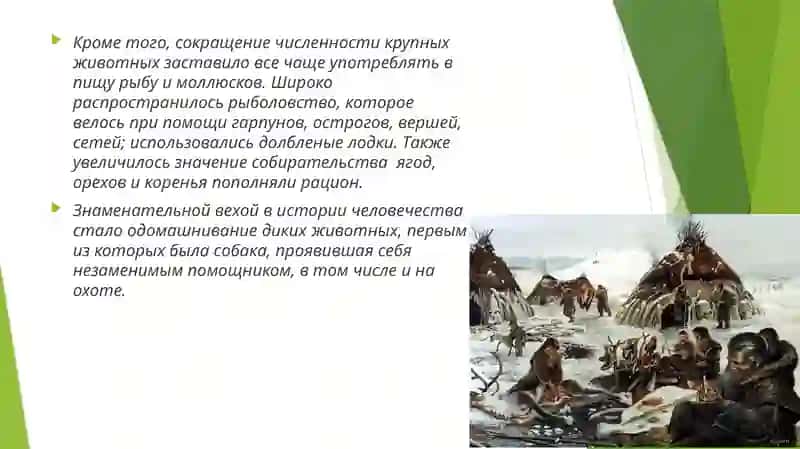 Эпоха мезолита 4