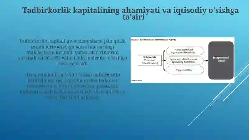 Tadbirkorlik faoliyati va kapitali 4