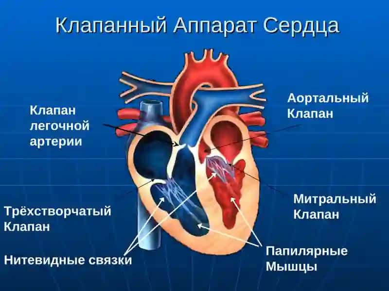 Кардиологические Неотложные Состояния 4