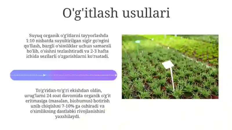 Ekinlarni organik o‘g‘itlar bilan oziqlantirishda olib boradigan tajribalarni o‘rganish 4