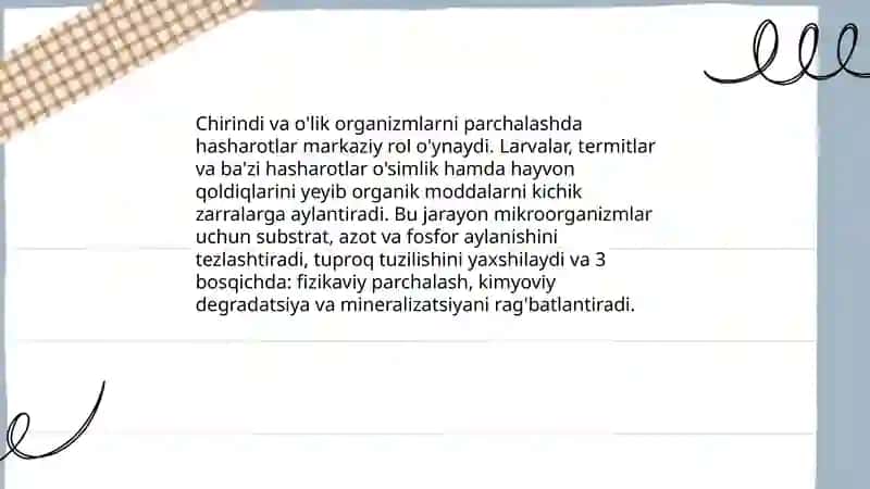 Nasekomalarning tabiat tagi va inson tirikchiligidagi ahamiyati 4