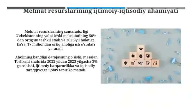 Mehnat Resurslari: Ijtimoiy-Iqtisodiy Toifa Sifatida 4