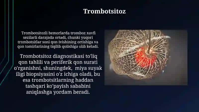 Trombotsitlar fiziologiyasi 4