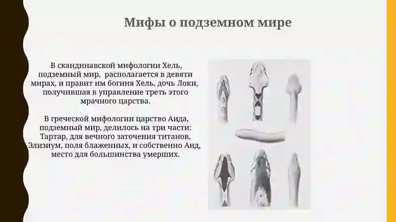 Основные сюжеты мифов 4