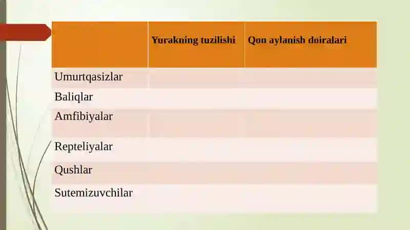 Hayvonlarning qon aylanish organlari evolutsiyasi 4