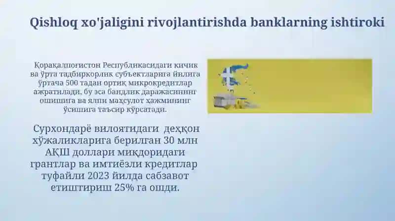 Ta'lim va sog'liqni saqlash sohalarini moliyalashtirish 4
