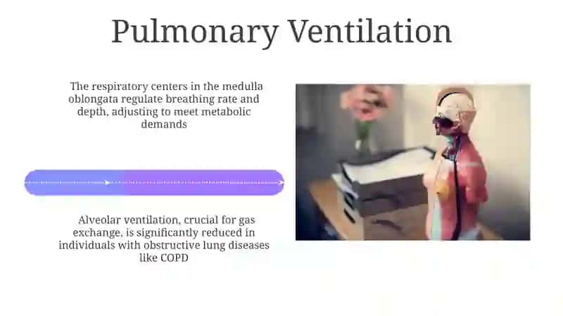 Pulmonary physiologiya 4