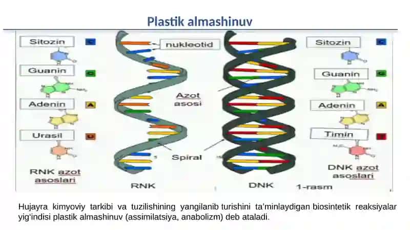 Plastikalmashinuv 4