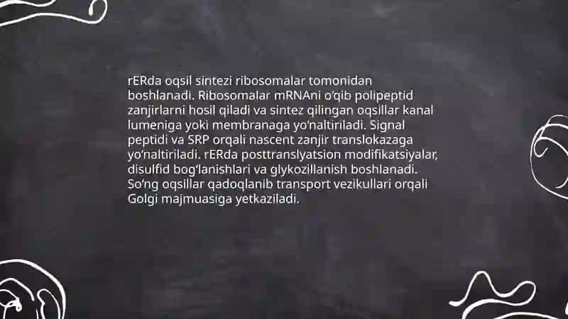 Hujayra organoidlari: Endoplazmatik tor. Golji majmuasi. Lizosoma 4