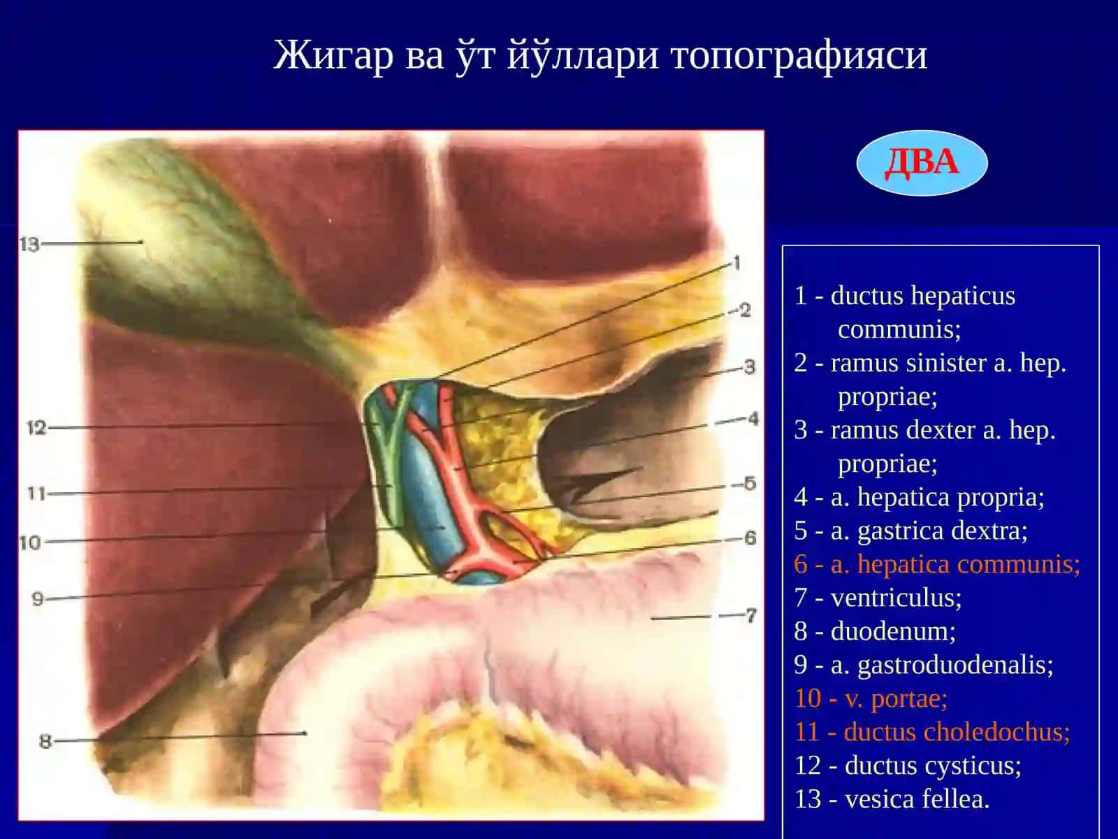 ЎТКИР ХОЛЕЦИСТИТ 4