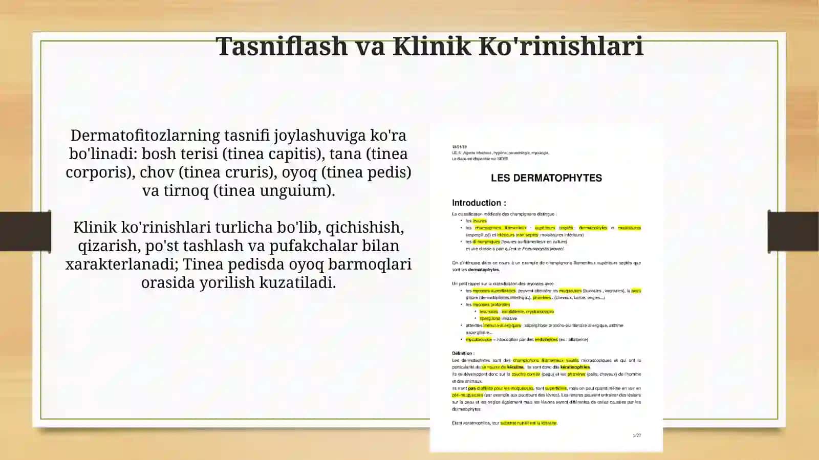 Mikozlar klasifikatsiyasi dermatamikozlar 4