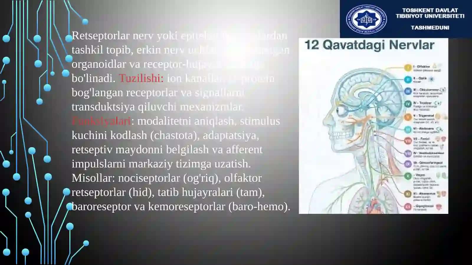 Analizatorlar fiziologiyasi. Retseptorlar (og'riq, hidbiluv, tambiluv, baro-hemo) 4