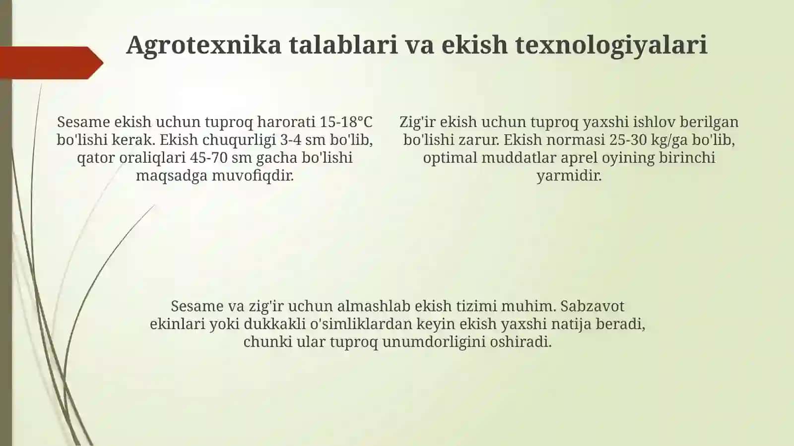 Sesame va zig'irning ahamiyati va iqtisodiy roli 4