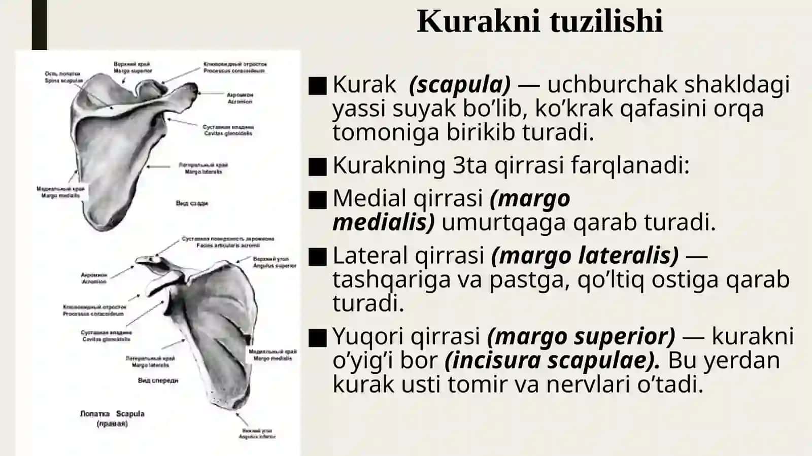 Tibbiy biologik fanlar kafedrasi 4
