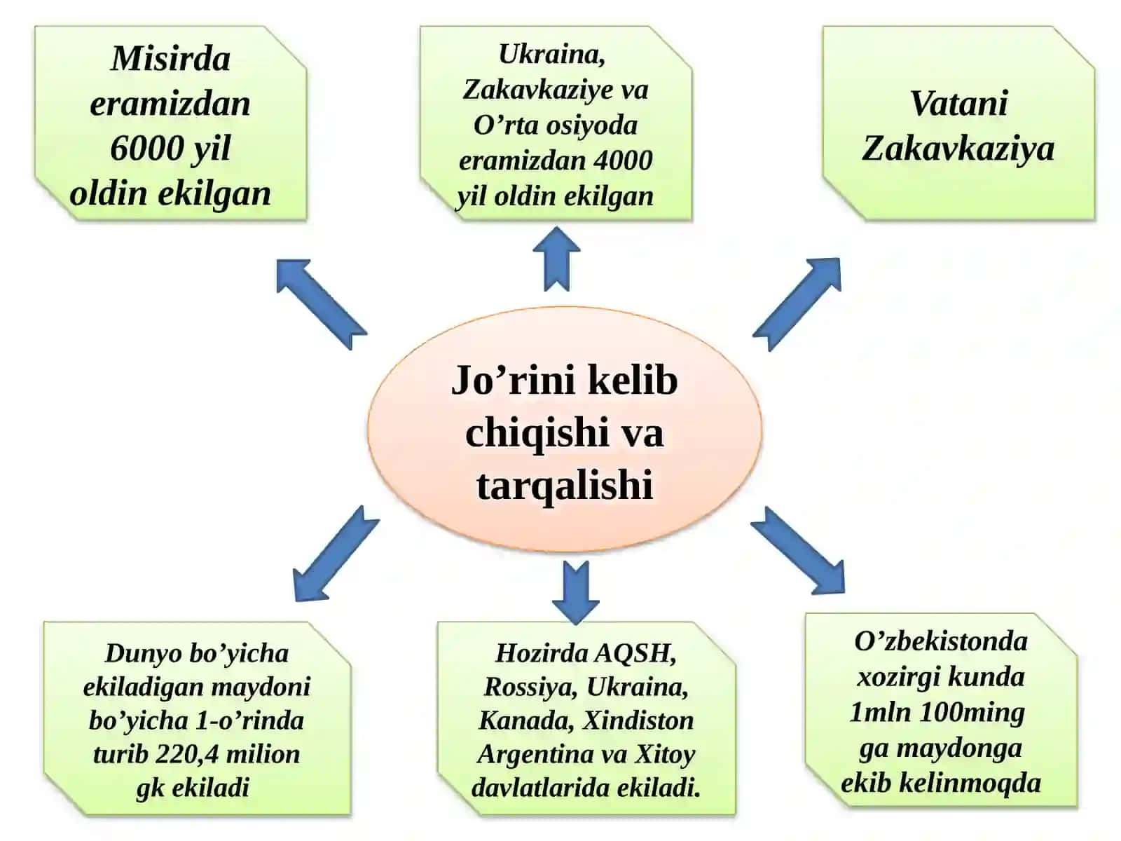 Jo'xori biologiyasi VA YeTIShTIRISh TEXNOLOGIYaSI 4