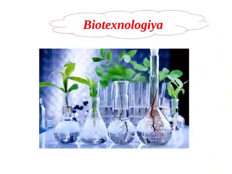 Biotexnalogiyada biologik oʻziga xoslikni qoʻllanilishi 4
