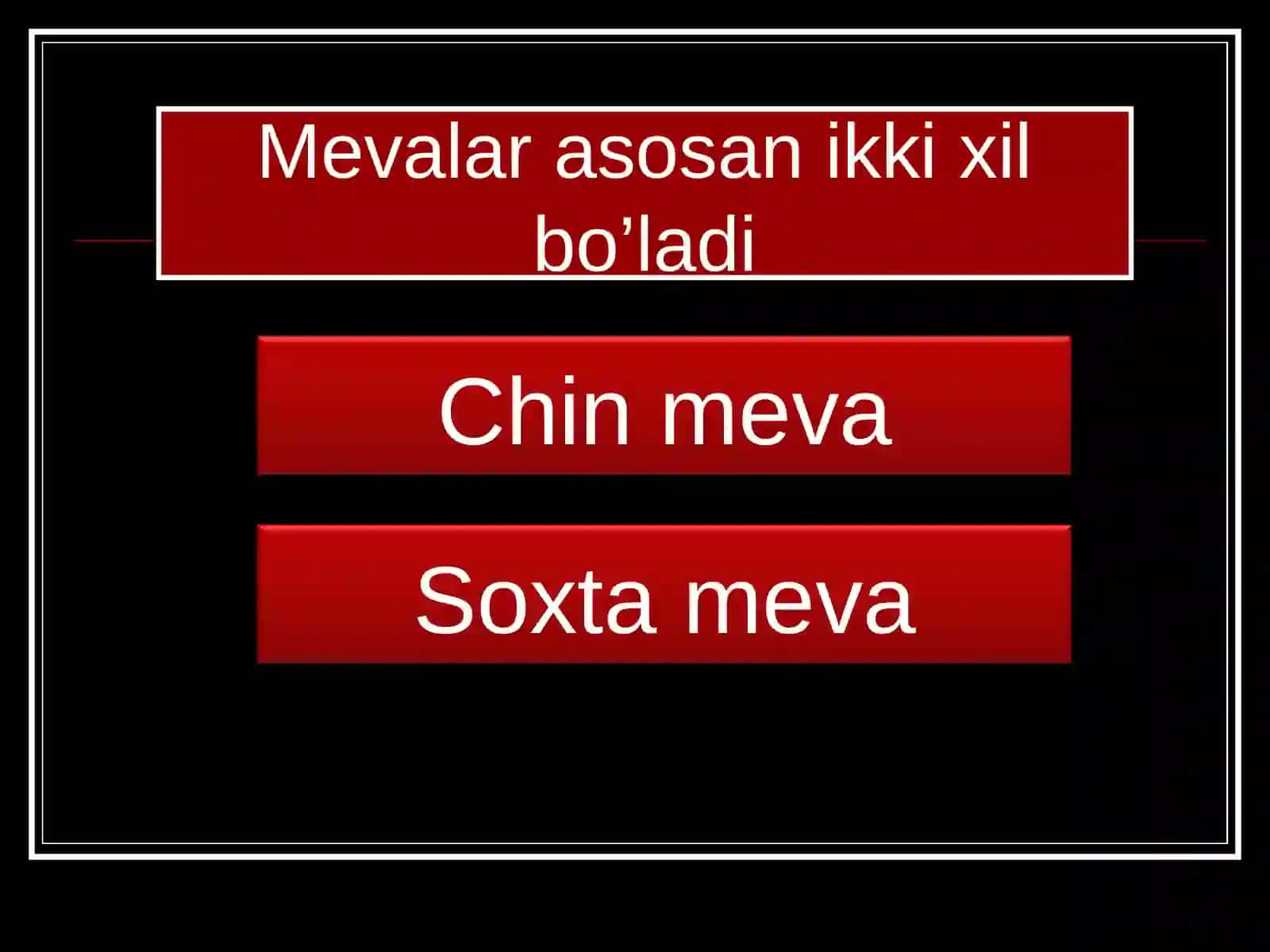 Meva 4