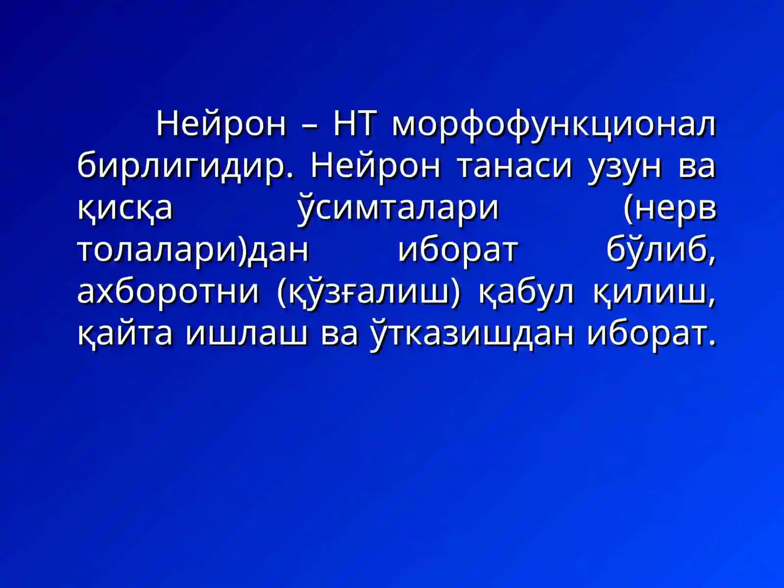 Нерв толаси ва синапслар 4