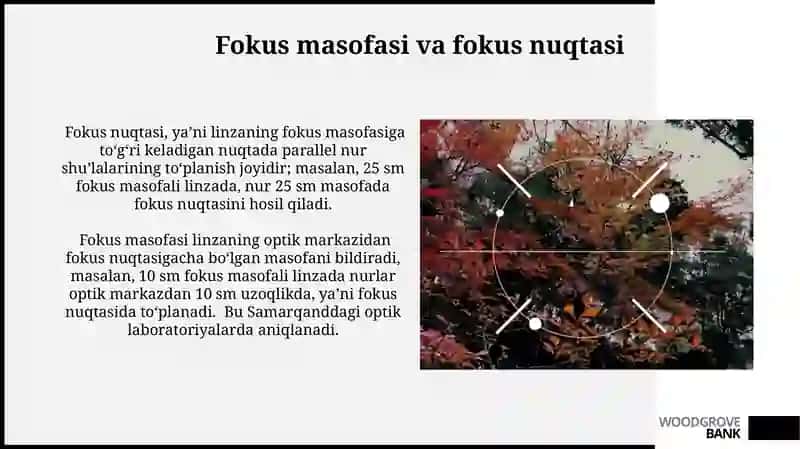 Linzalar va ularning tasvirlash texnikasi 4