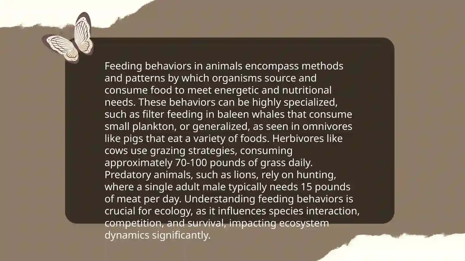 Animal’s lifestyle 4