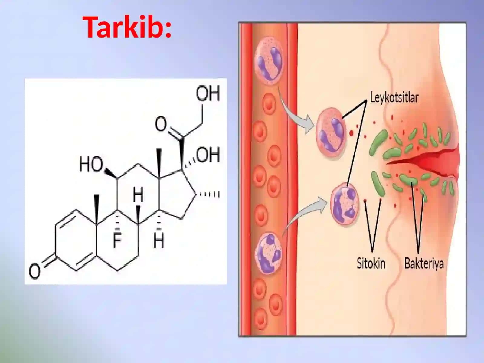 Imunopatologiya,o‘smahujayralarnikelibchiqishidagiahamiyati.Immuntanqisliklardaopportunistikinfeksiyalarboshqarilishiningmolekulyarmehanizmi 4