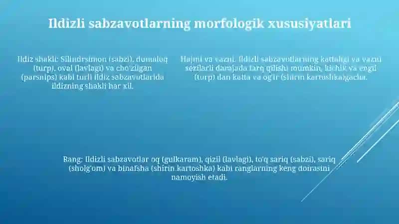 Ildiz Mevali Sabzavotlarning Navlari Va Ularning Tasnifi 4