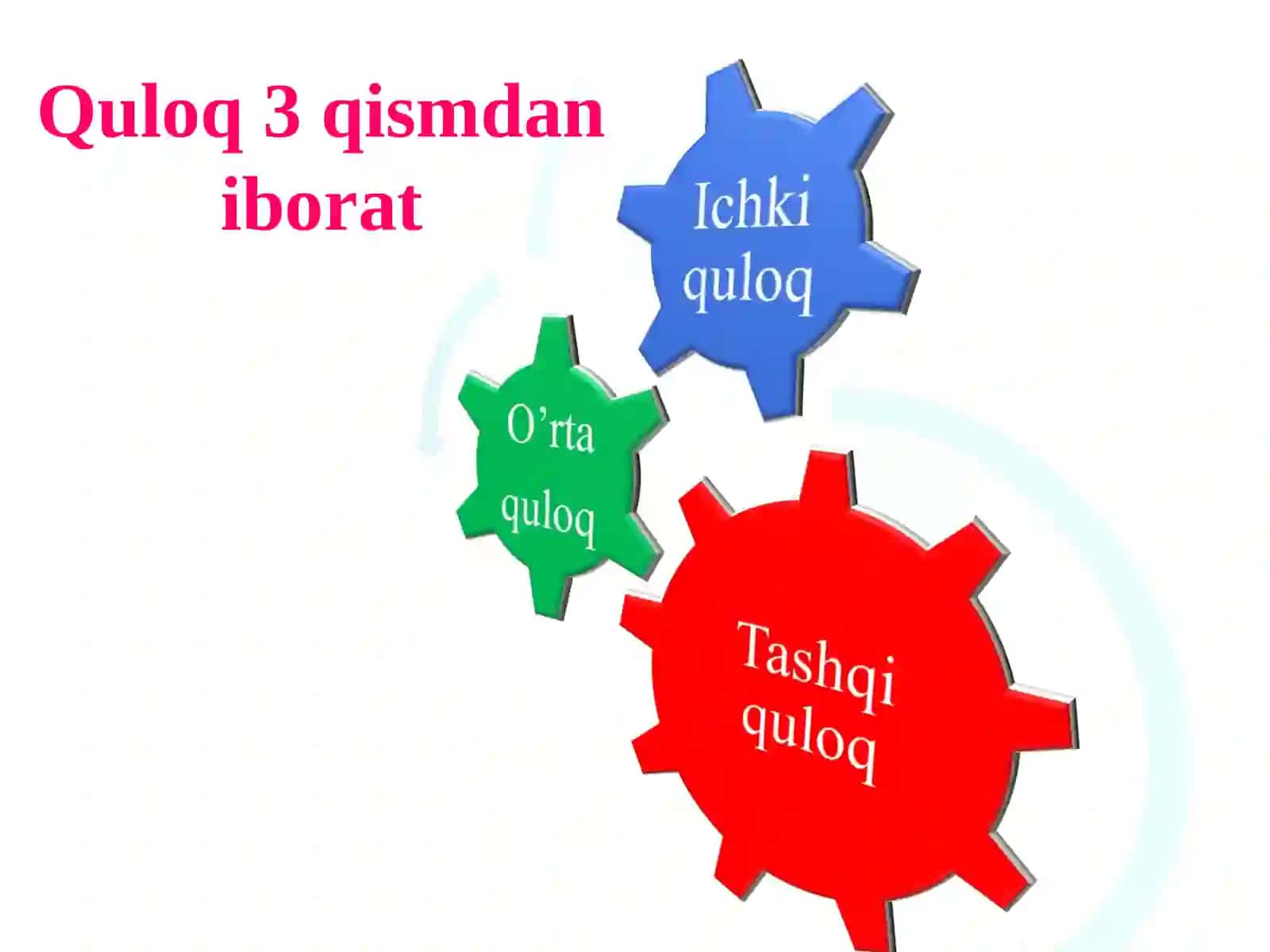 Eshitish organining tuzilishi, eshitish gigiyenasi 4