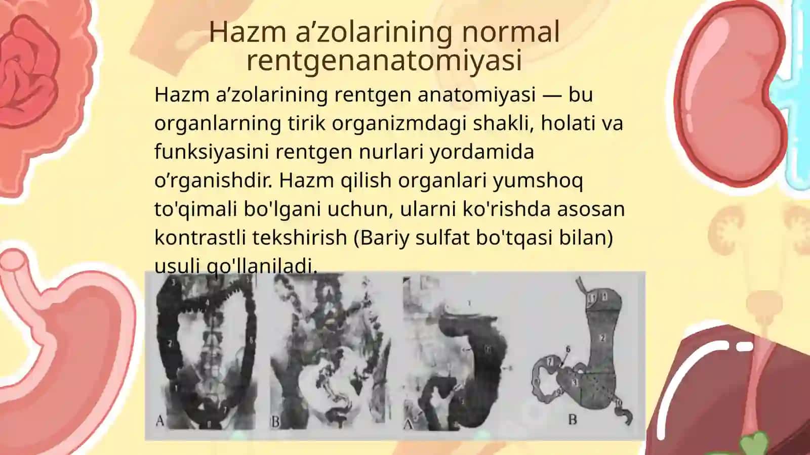 Hazm a’zolarining rentgenanatomiyasi va rivojlanish nuqsonlari 4