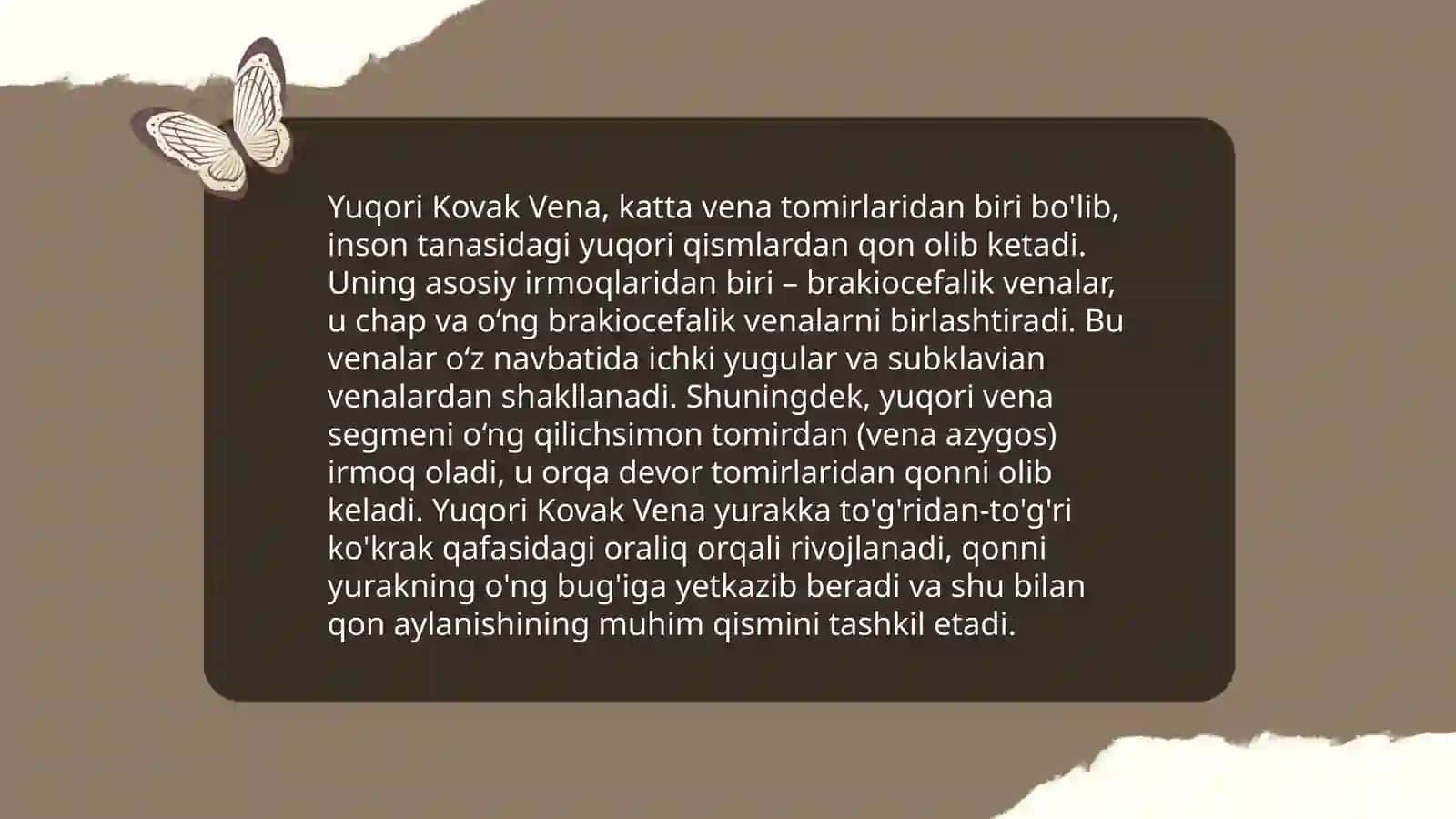 Yuqori va pastki kovak venalar 4