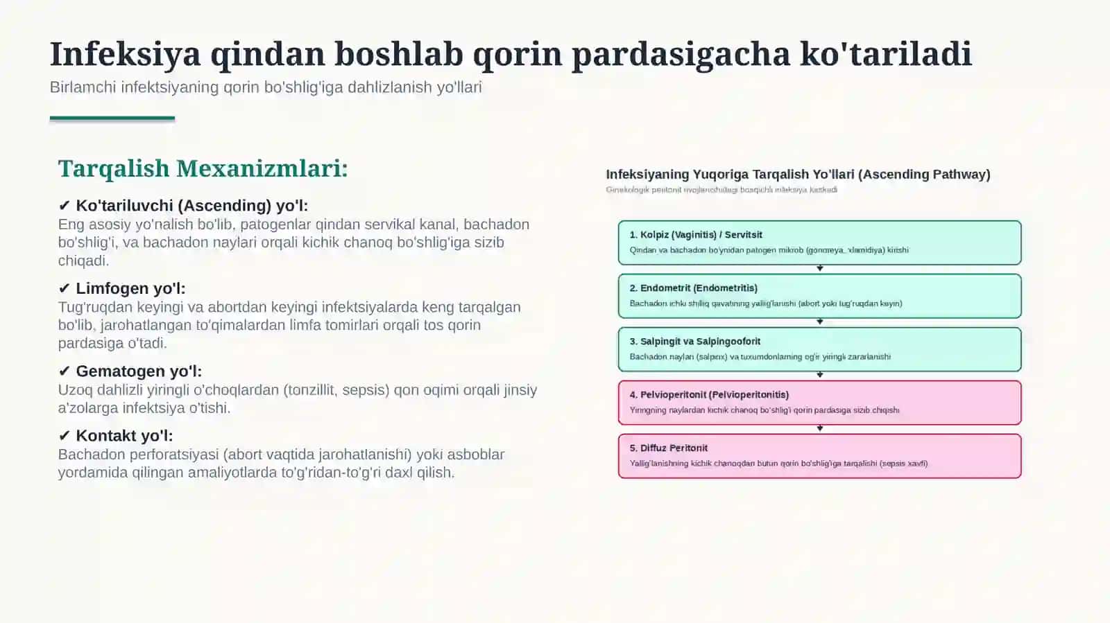 Ginekologik peritonitlar — 15 slaydli professional tibbiy taqdimot | Ginekologiya va akusherlik 4
