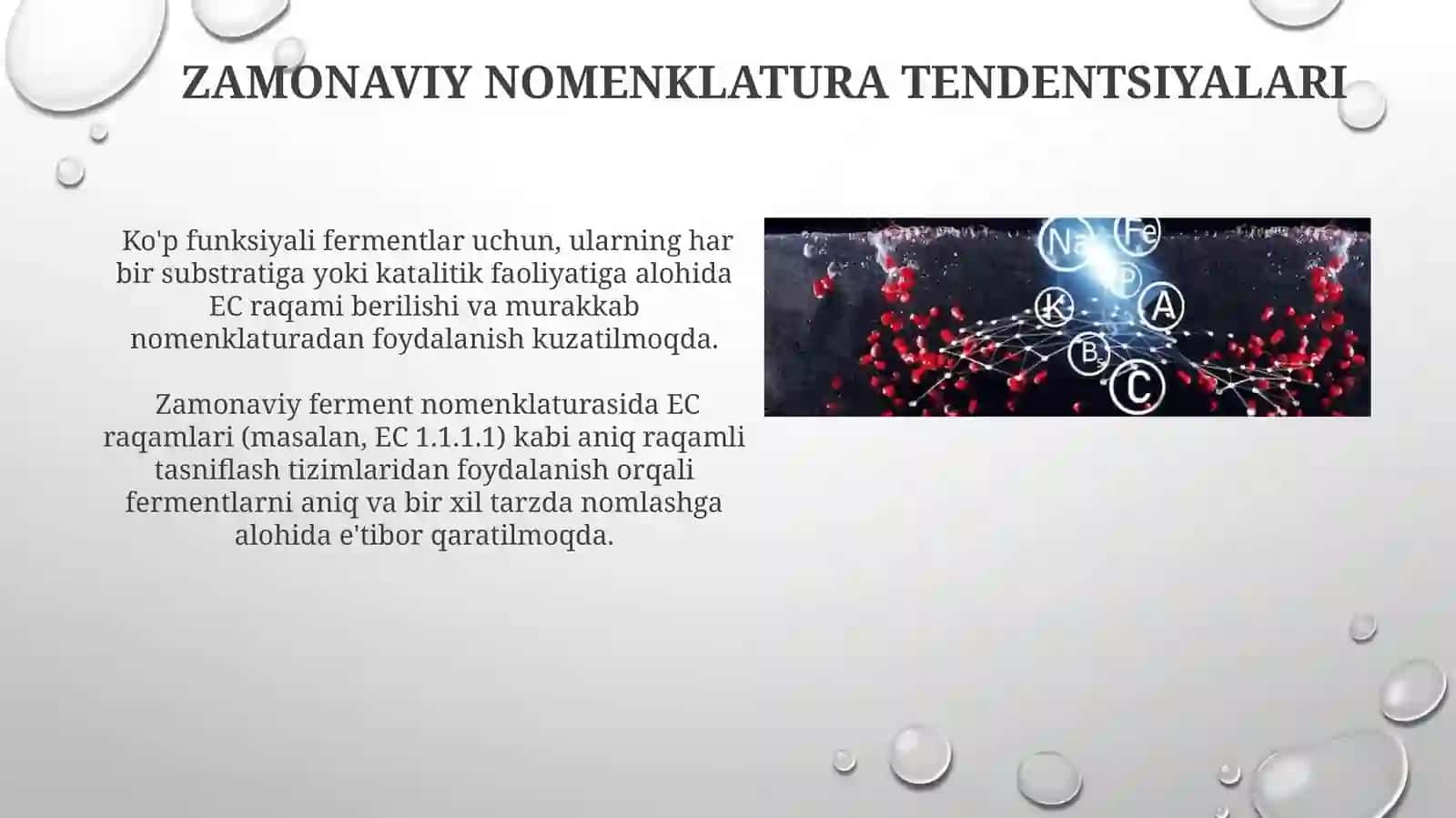 Fermentlarning nomenklaturasi 4