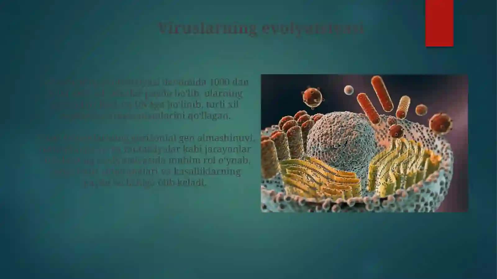 Virusalogiya hujayraga kirishi ko'payishi reproduksiyasi 4