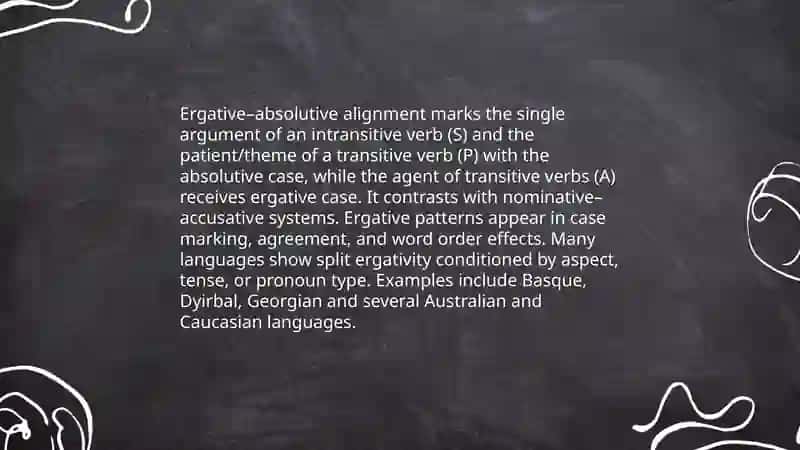 Typology categories of case 4
