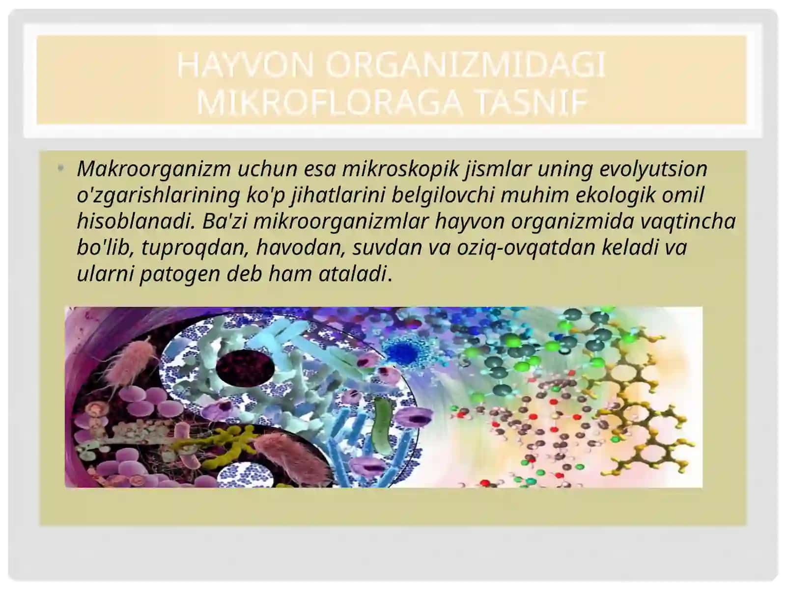 HAYVON ORGANIZMIDAGI MIKROFLORAGA TASNIF 4