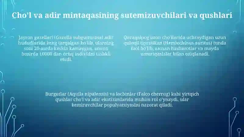 O'zbekiston cho'li va adir mintaqasi hayvonlari 4