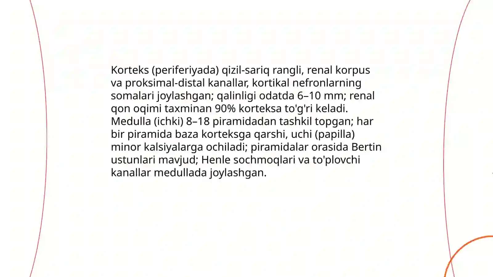 Buyrak tuzilishi va anatomiyasi 4