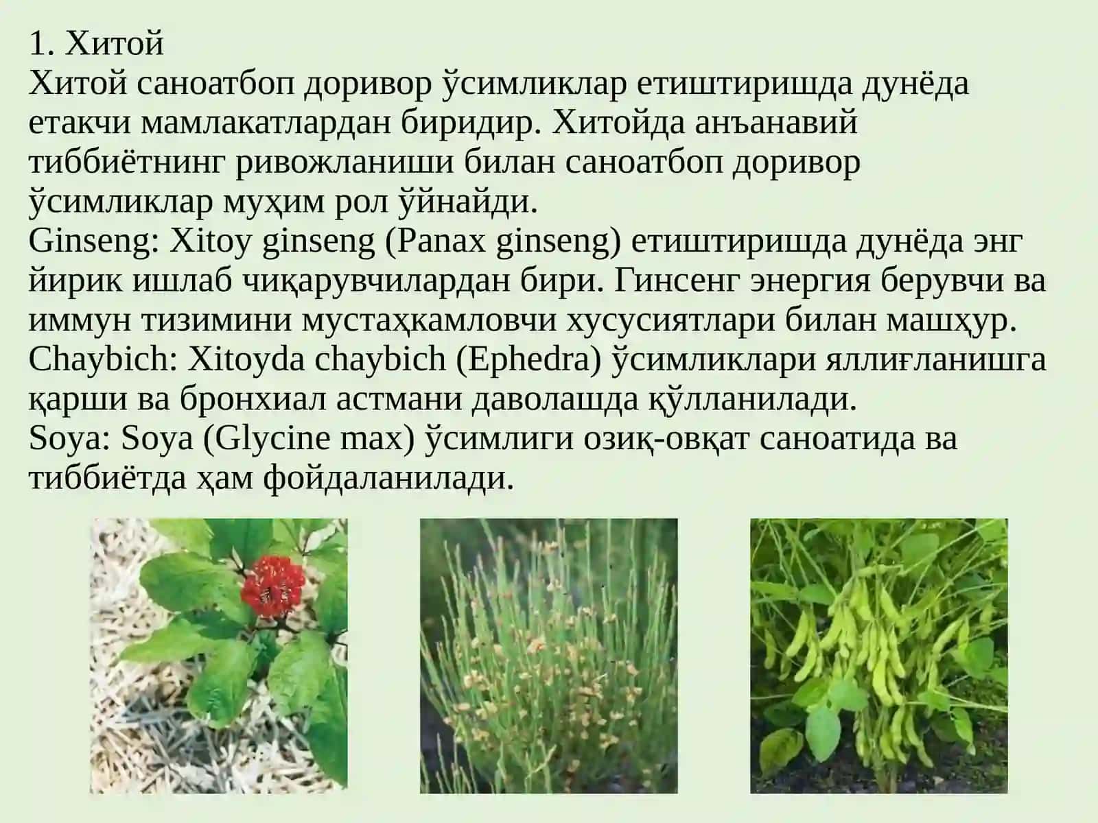 ДУНЁ МАМЛАКАТЛАРИНИНГ САНОАТБОП ВА ТЕХНИК ДОРИВОР ЎСИМЛИКЛАРИ 4