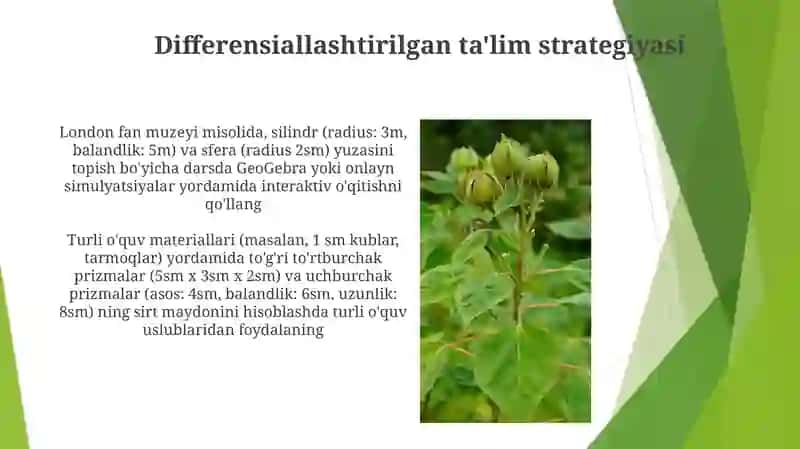 Geometriya kursida yuzani oʻqitish metodikasi 4