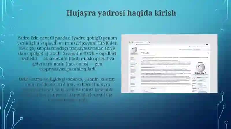 Hujayra yadrosi va irsiy axborotni uzatilishi mexanizimi 4