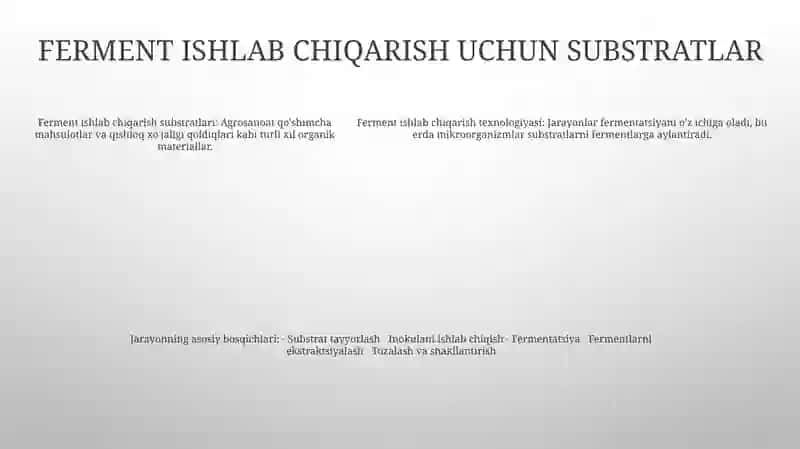 Ferment Preparatlari Ishlab Chigarish Texnologiyasi 4