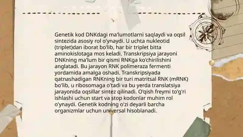 Transkripsiya 4