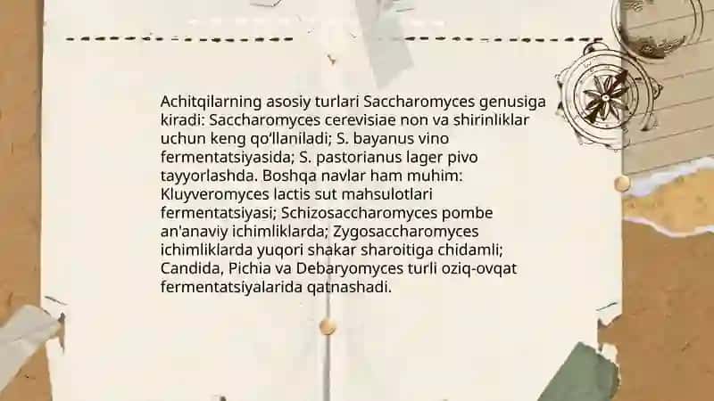 Achitqilar 4