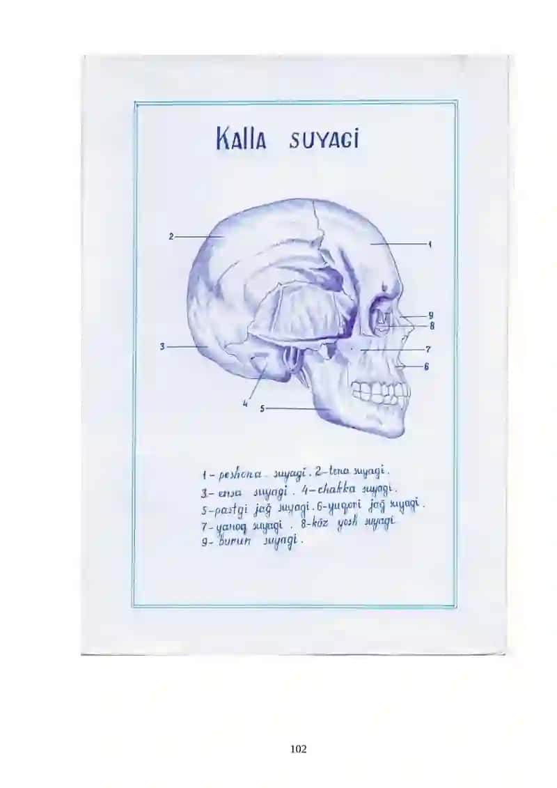 Tayanch - harakat tizimi. Qon va limfa sistemasi tizimi. 4