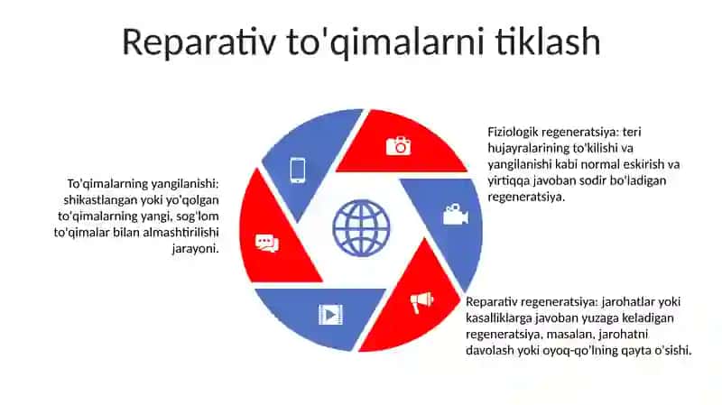 To'Qimalarning Fiziologik Va Reparativ Regeneratsiyasi 4