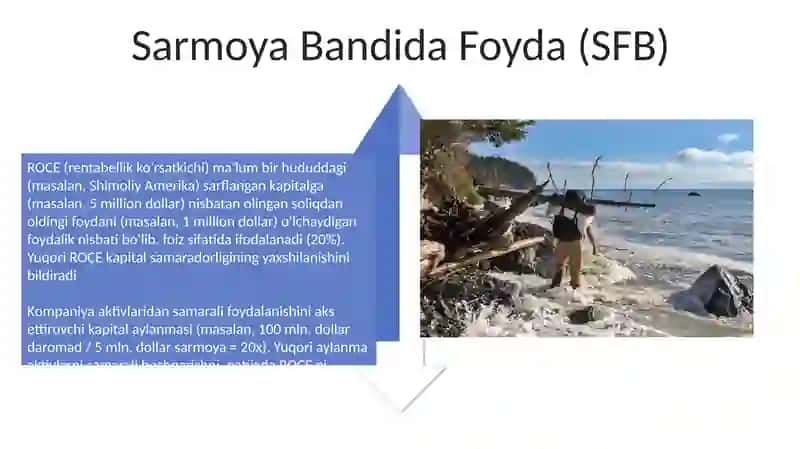 Tadbirkorlik faoliyati 4