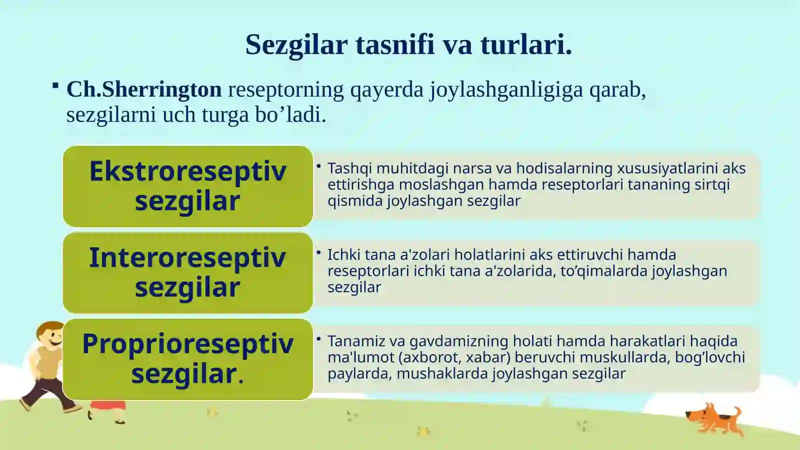 Sezgilar. Bolalarda sezgilarning rivojlanishi 4