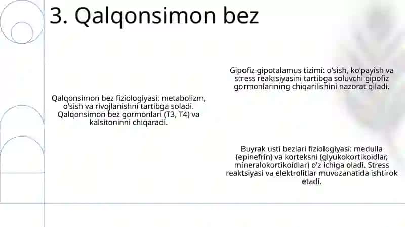Ichki Sekretsiya Bezlari Fiziologiyasi 4