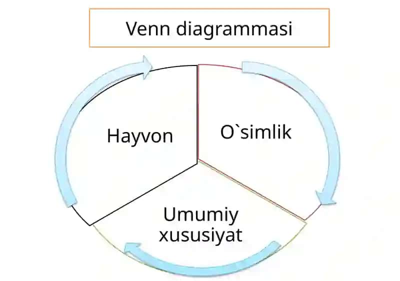 Hayvon organizmi tuzilishi Hayvonlarni klassifikatsiya qilish 4