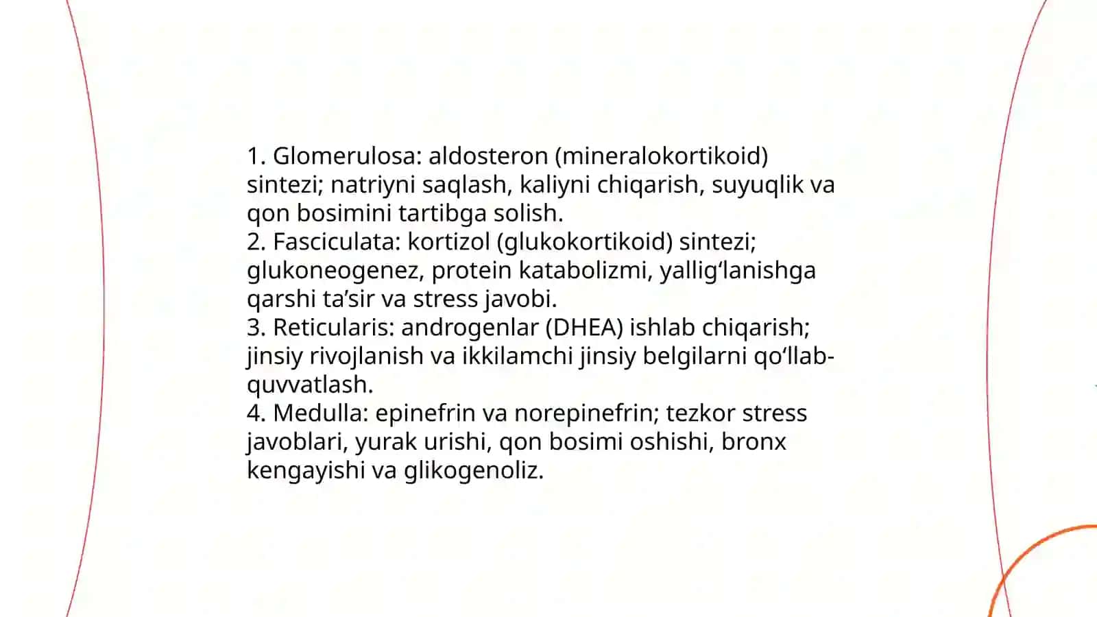 Buyrak usti bezi anatomiyasi va morfologiyasi 4